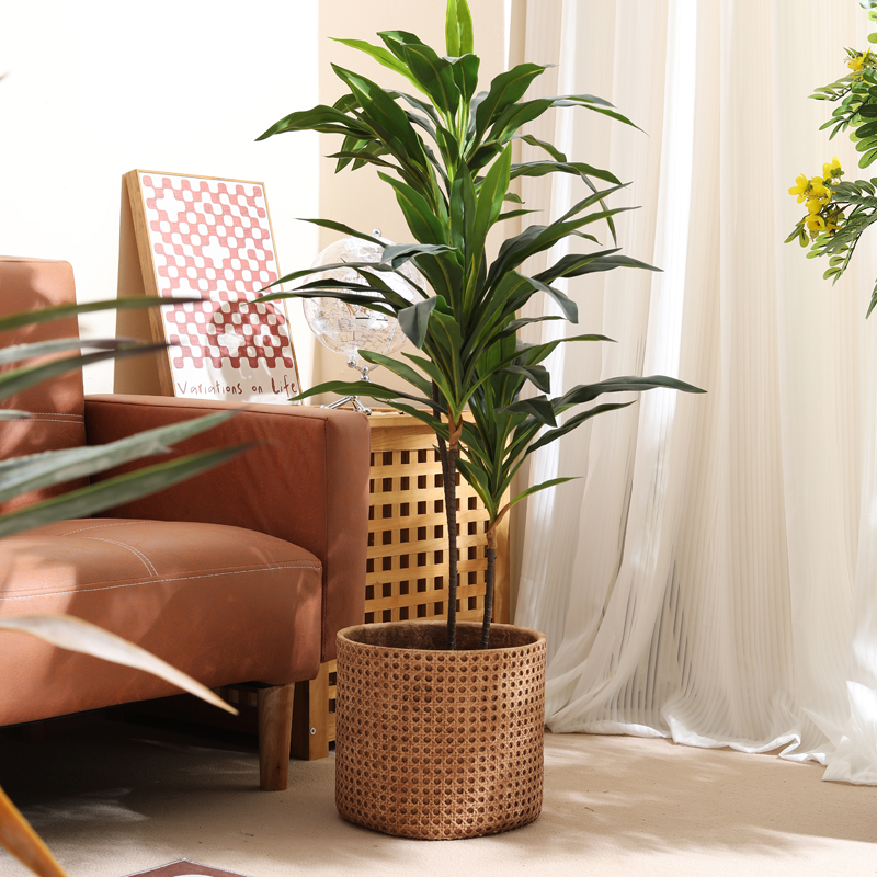 Meubles pour appartements de p - Furniture Paradise & Hardware Ghaziabad Reviews avis et prix